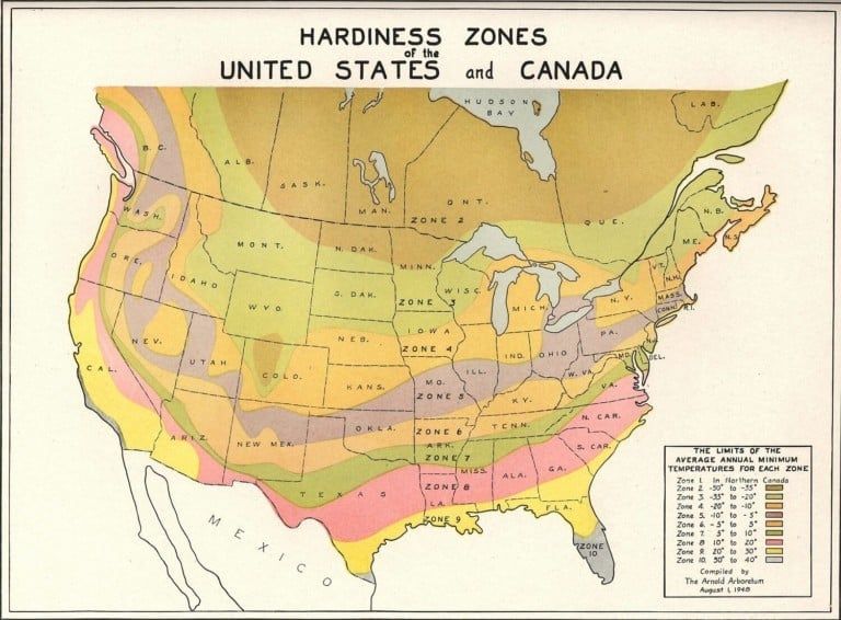 What is the USDA’s Plant Hardiness Zone Map?