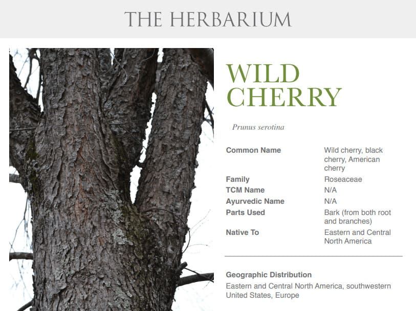 the-herbal-academy-herbarium