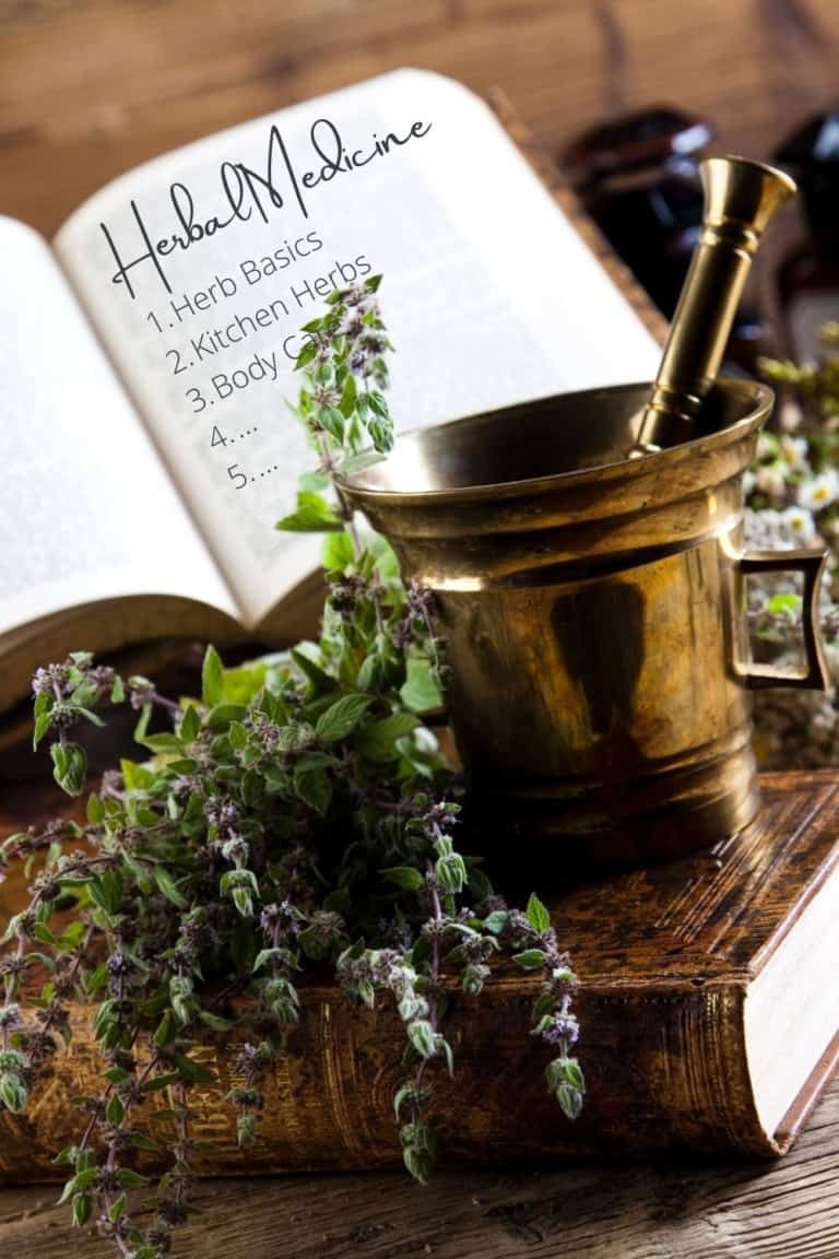 The Herbal Academy’s Introductory Course Review [Pros and Cons!]