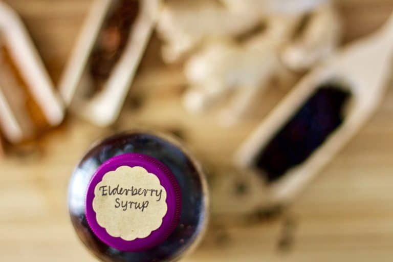 19 of the Best Homemade Elderberry Syrup Recipes