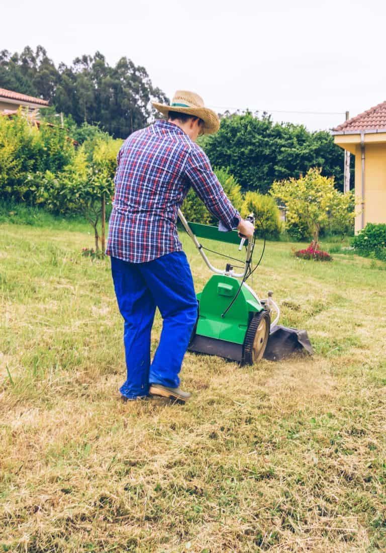 Self Propelled vs. Push Mowers – Pros, Cons, Longevity, and More!