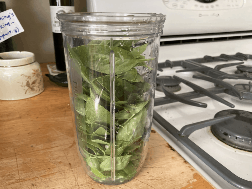 basil-leaves-in-blender-jar