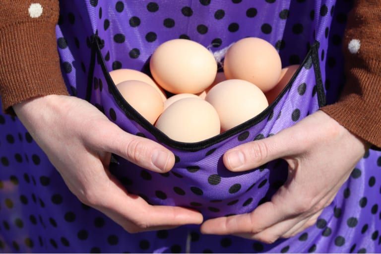 Egg Collecting Aprons – 10 Free and Easy Patterns to DIY