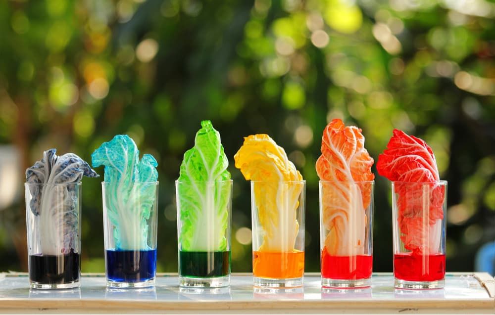 vegetables-in-food-dye-experiment-for-kids