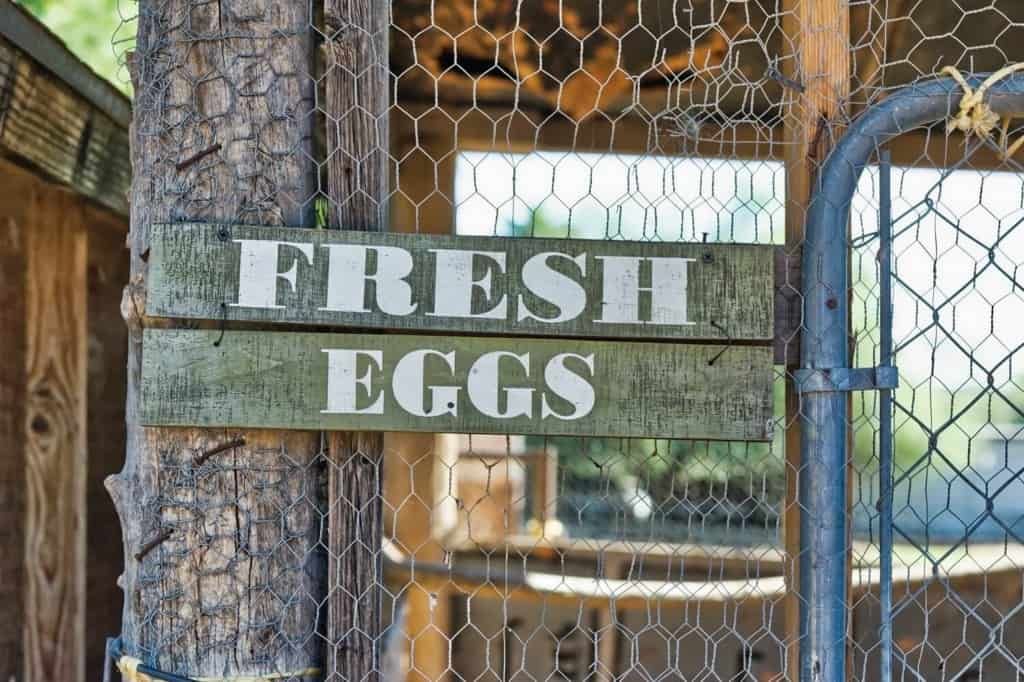 fresh-eggs-wooden-poultry-coop-sign