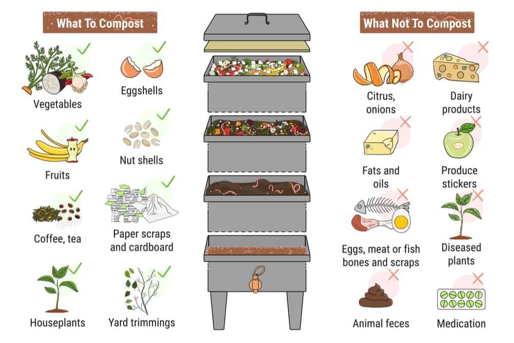 vermicompost-what-to-feed-worms-what-not-to-feed