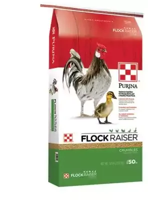 Purina Flock Raiser Crumbles [Premium Poultry Feed] 50 lb