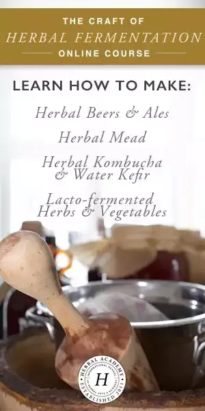 The Craft of Herbal Fermentation – The Herbal Academy