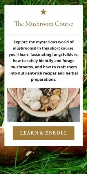 The Mushroom Course by The Herbal Academy