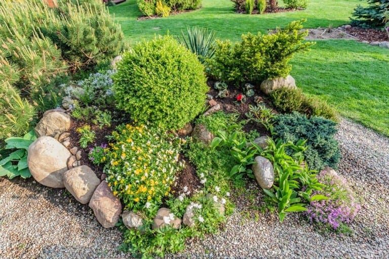 How to Make a Rockery Garden – All In One Guide!