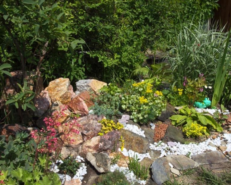 How to Stop Weeds From Growing In Rocks [Step by Step Guide]