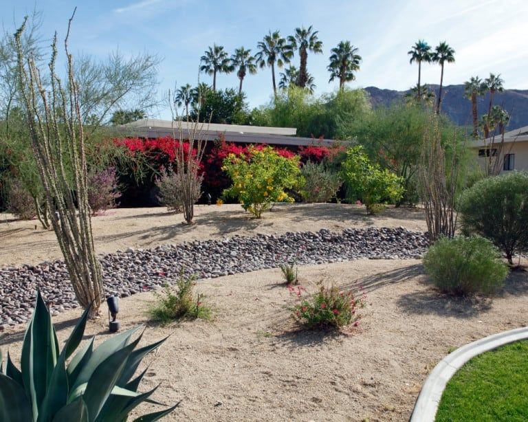 How to Xeriscape on a Budget