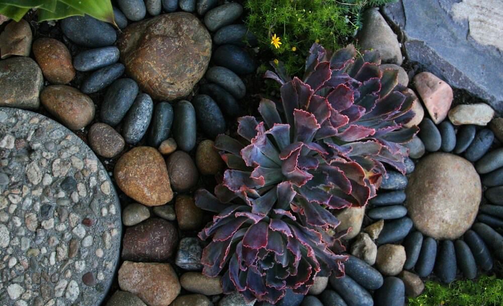 succulent and rock garden art