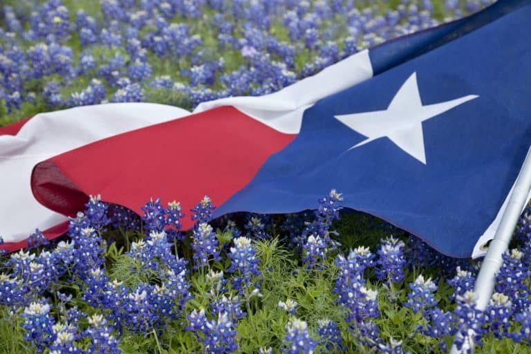21+ Texas Landscaping Ideas for a Thriving Texan Garden