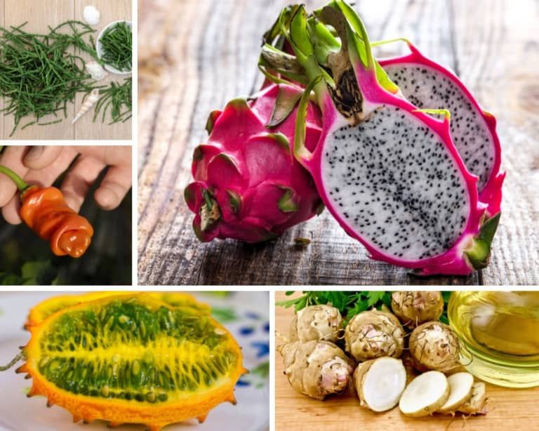 17 Weird Vegetables and Fruits You Have to See to Believe