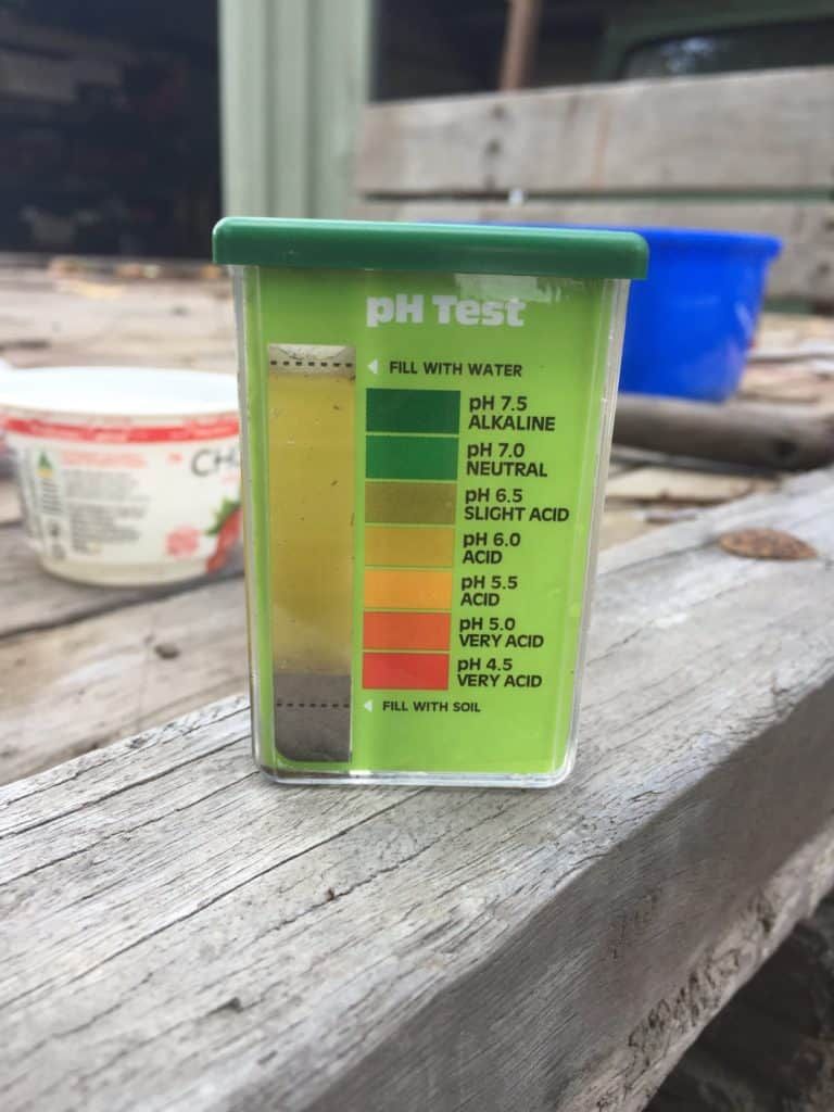 Home soil testing kits are actually a lot of fun! Our pH was pretty good, but some of the macronutrients were way off. 