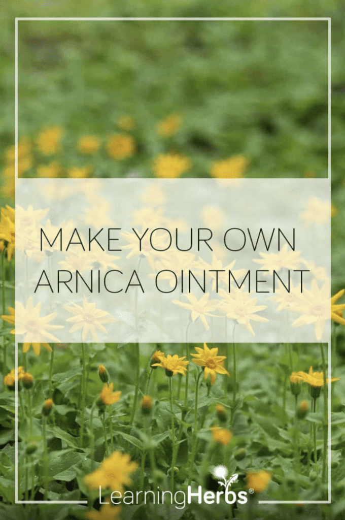 arnica ointment by learning herbs