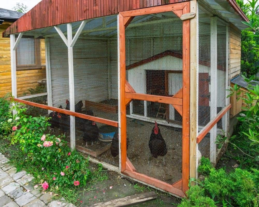 beautiful chicken coop with outdoor run and insulated coop