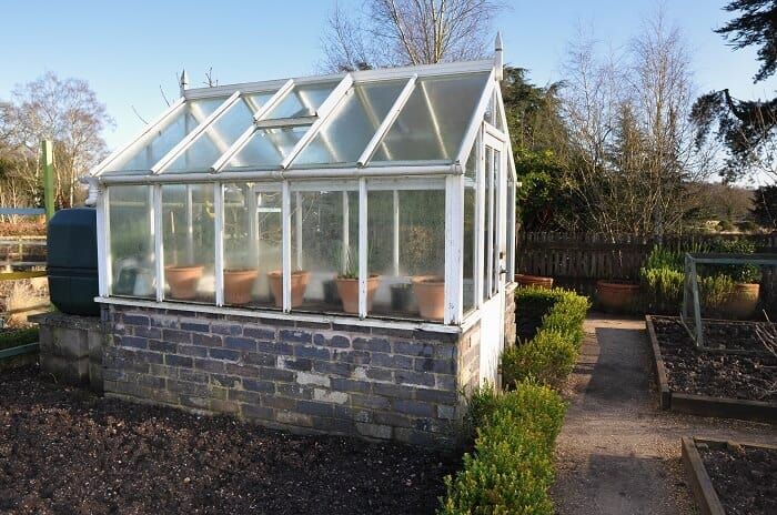 Greenhouse Gardening In Winter – the Best Vegetables for Winter Growing!