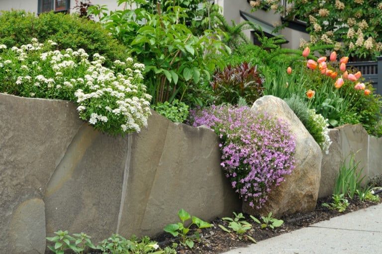 13 Stunning Cascading Plants for Retaining Walls and Hanging Baskets
