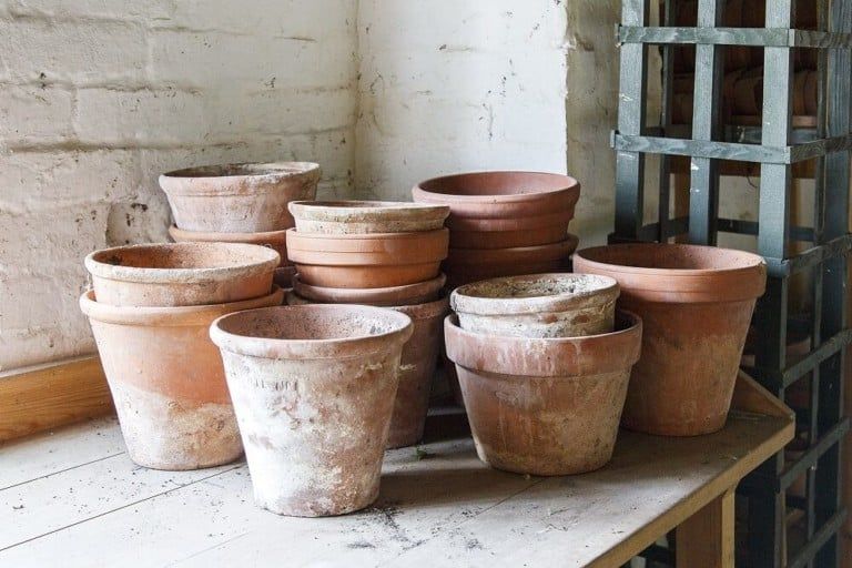 collection of terracotta flower pots