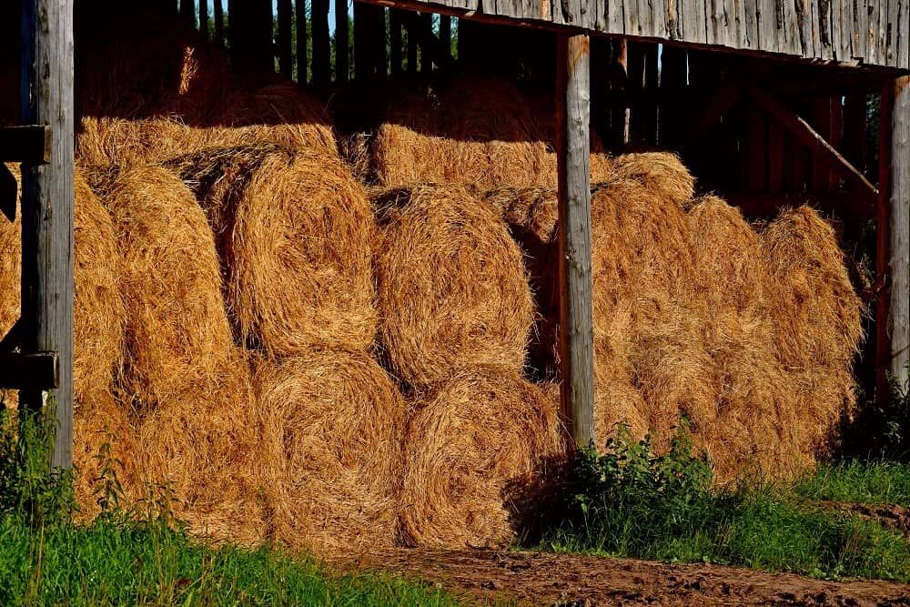 dry hay bales resting in storage