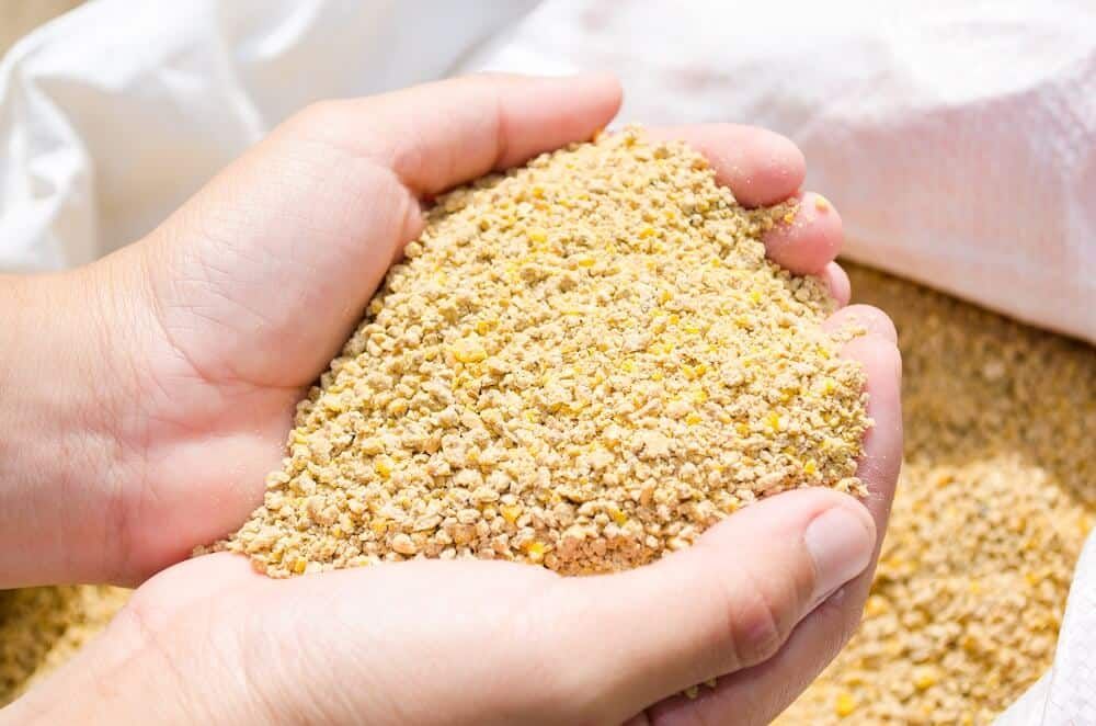 chicken feed cracked corn grain pellets mix