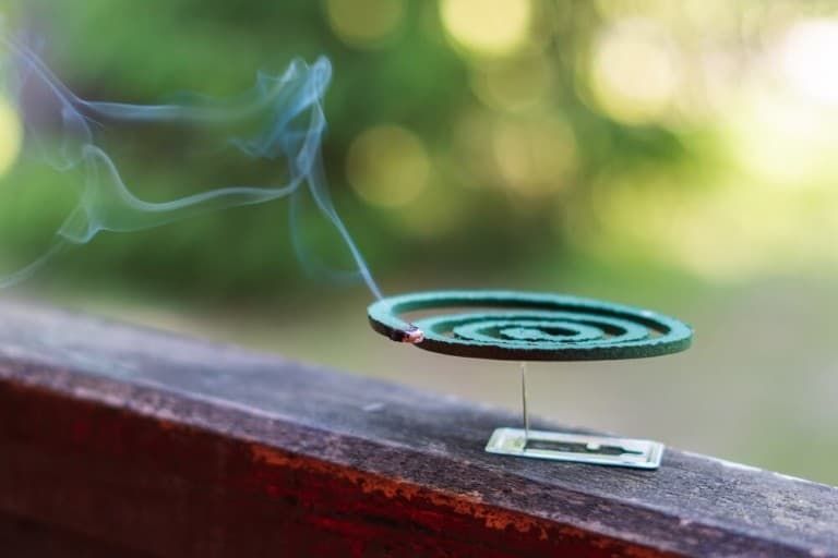 Does Smoke Keep Mosquitoes Away? What About Fire? Or Essential Oils?