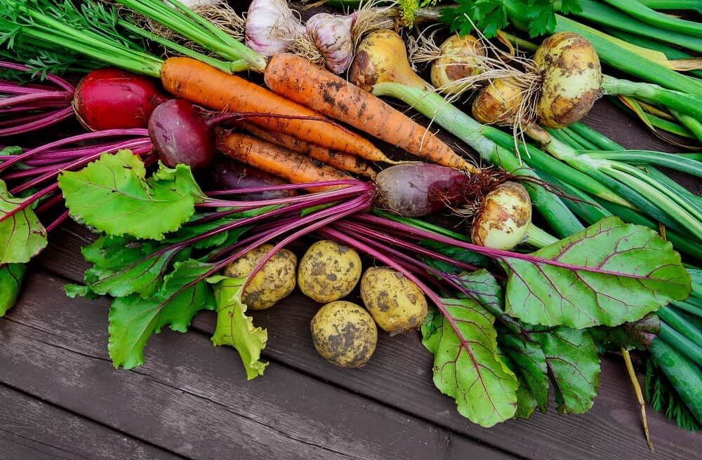 fresh garden veggies on wooden table carrots beets roots