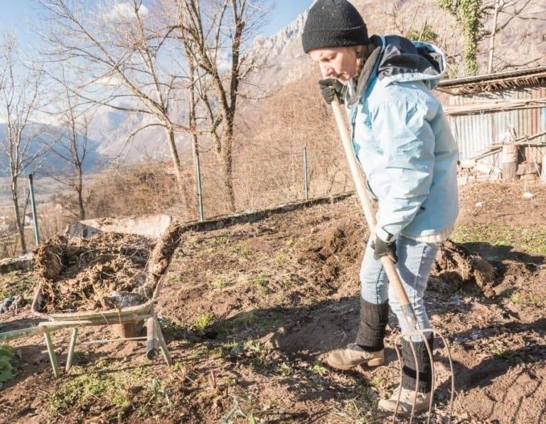 How to Improve Garden Soil Naturally [Over Winter and Year-Round]