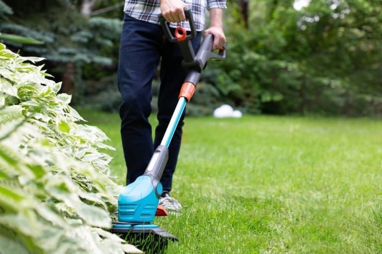 7 Best Electric Lawn Edgers for a Neat and Tidy Lawn