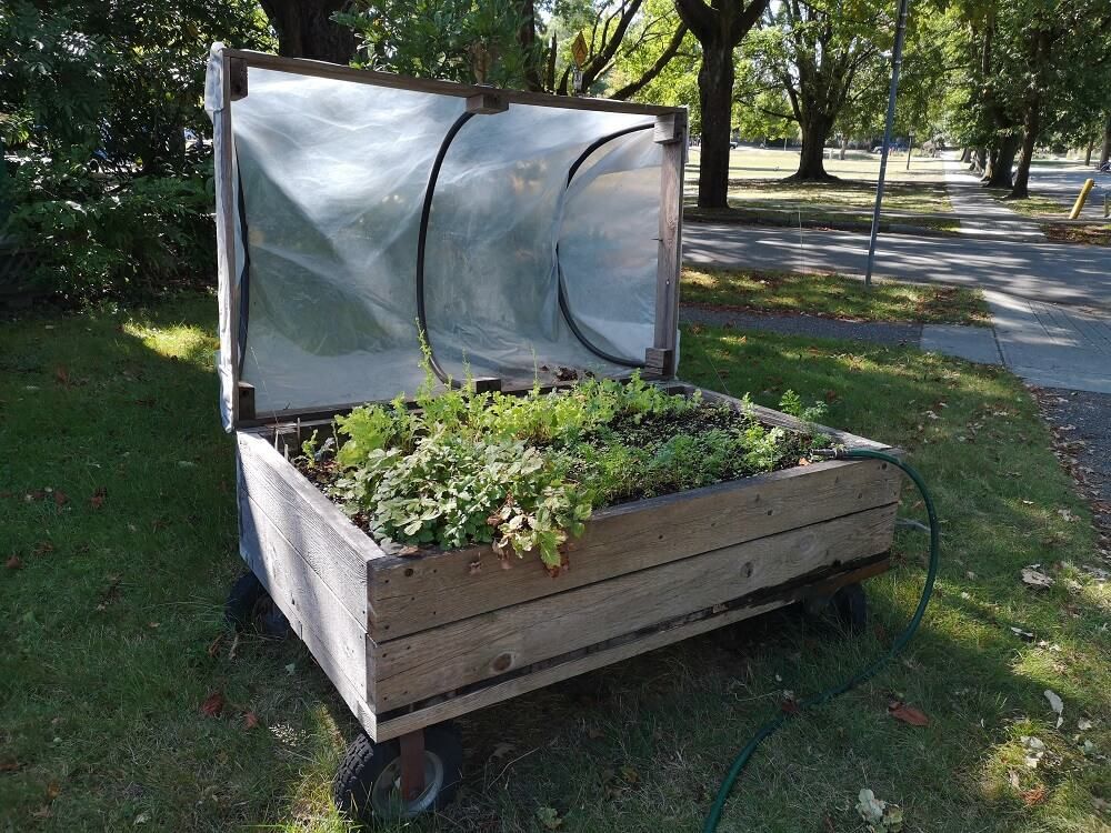 portable garden bed inside wagon with frost cover