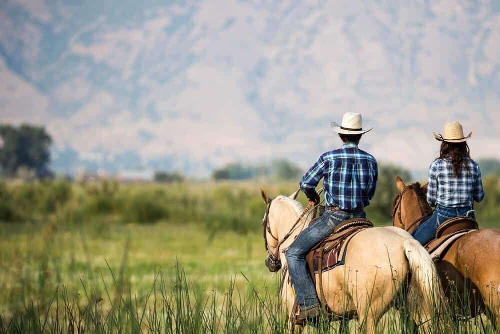 rural cowboy riders wearing jeans