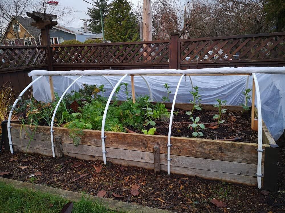 winter raised garden bed with frost cover polytunnel