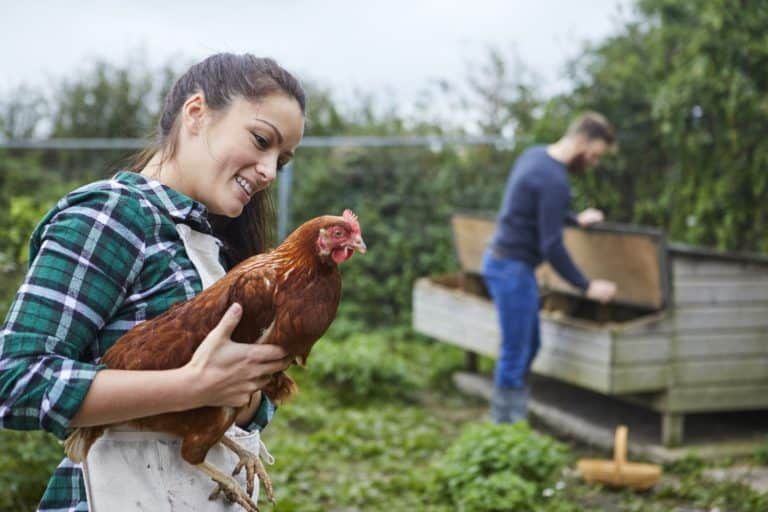 Young couple in chicken coop holding chicken