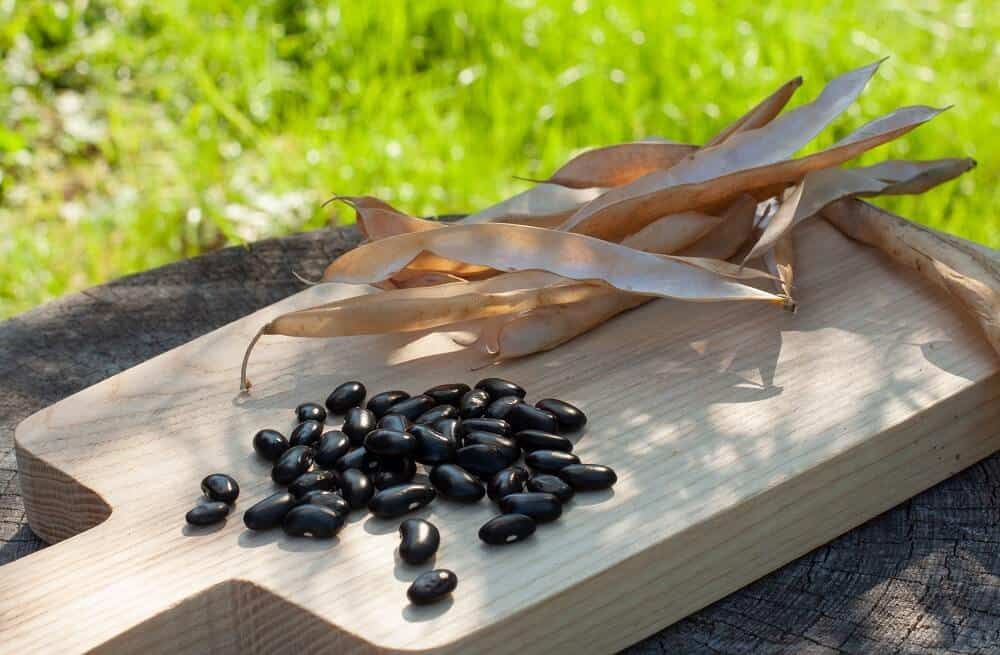 peeled and dried black beans on wooden board