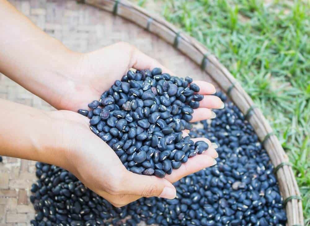 shiny black beans in hand wooden tray