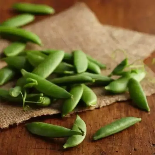 Sugar Snap Pea Seeds | Eden Brothers