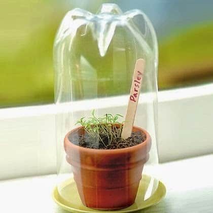 mini pet bottle greenhouse