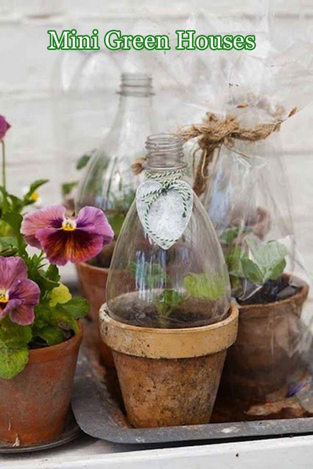 mini plastic bottle greenhouse