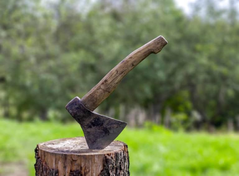 How to Cut Wood Without a Saw [10 Quick Ways to Cut It Easily]