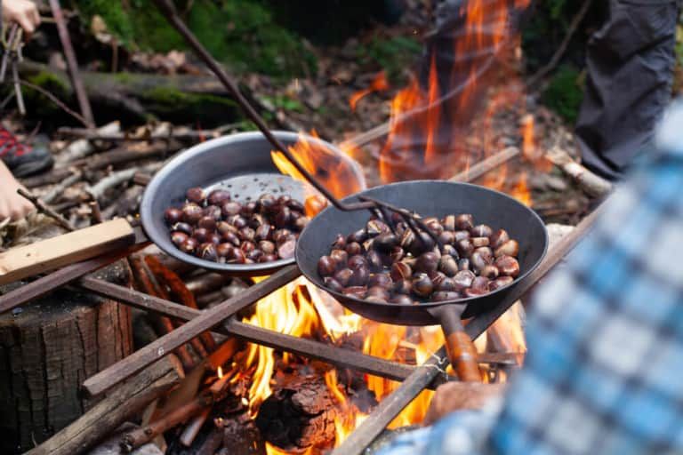 roasting chestnuts outdoor campfire party
