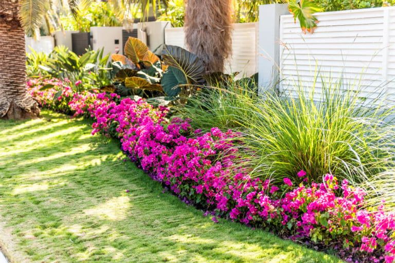 5 Florida Backyard Landscape Ideas [+ Tips for a Glorious Garden!]