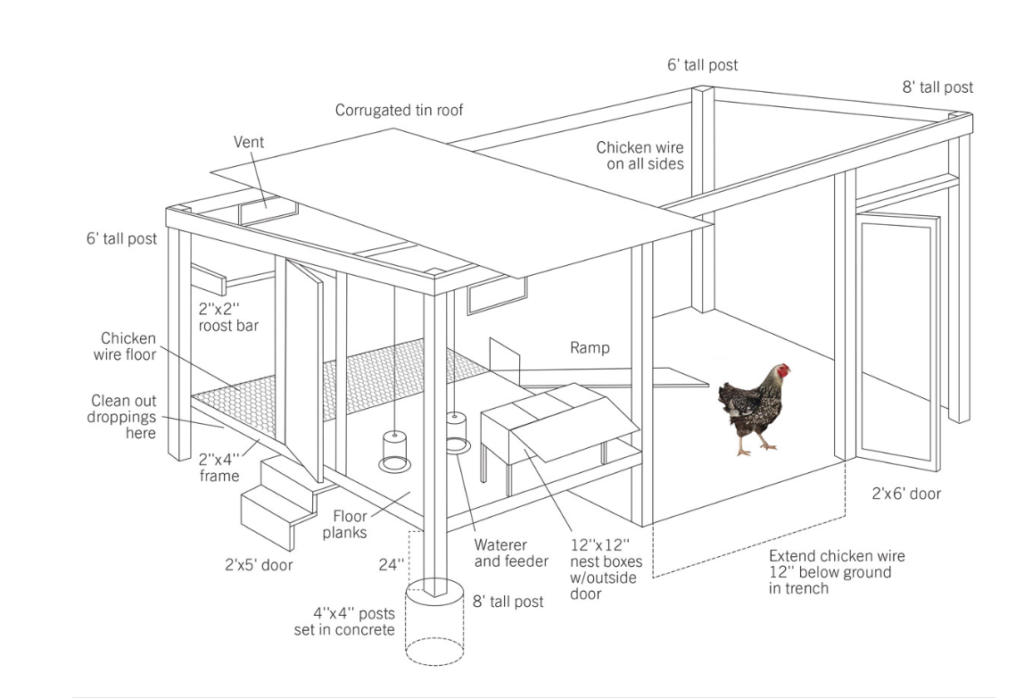 modern farmer how to build a chicken coop
