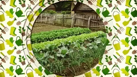 The Beginner's Guide to Vegetable Gardening | Rick Stone