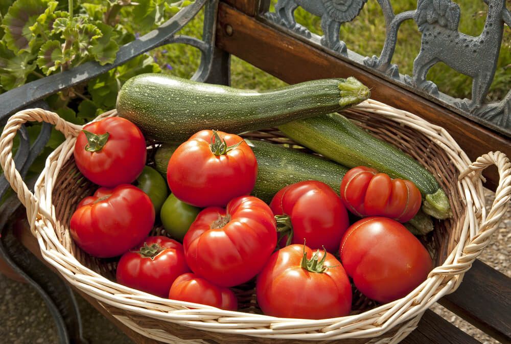 zucchinis and tomatoes in garden basket