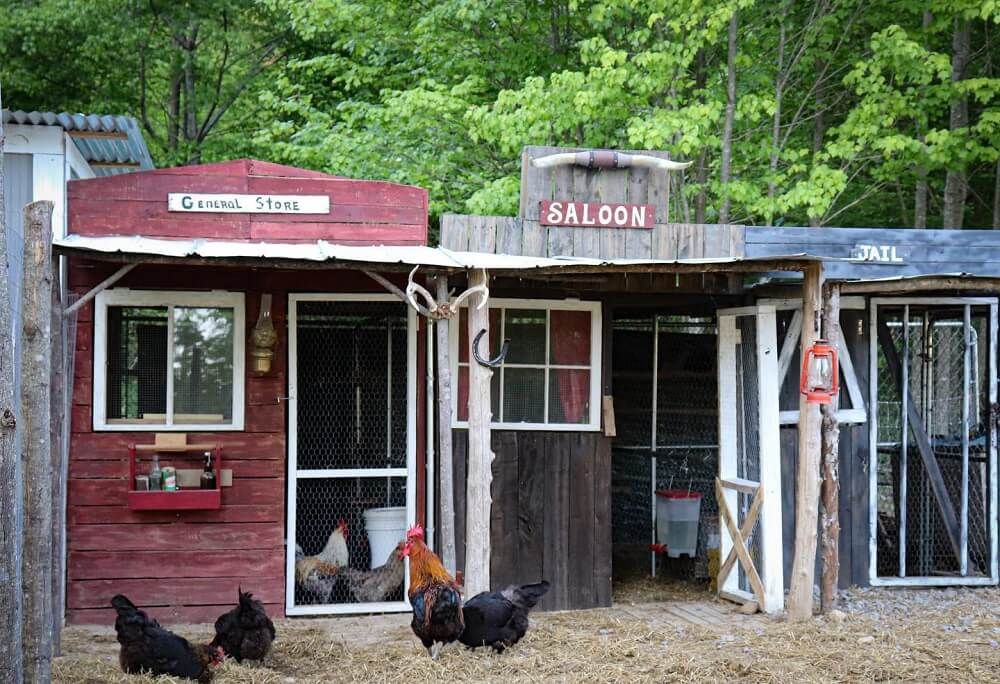 diy chicken coop with saloon