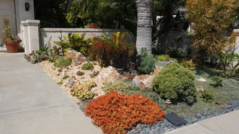5 Arizona Backyard Ideas for Frugal and Easy Backyard Decor