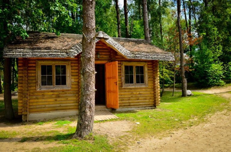 rustic log cabin in woods with door open