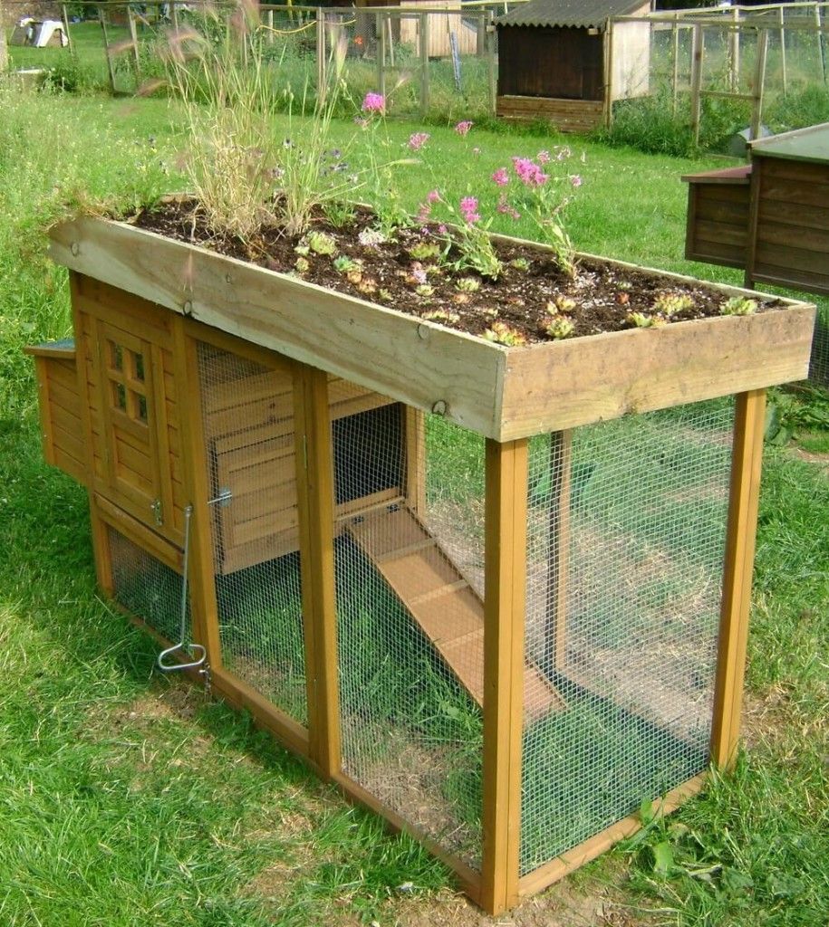 wooden pallet chicken coop with raised bed